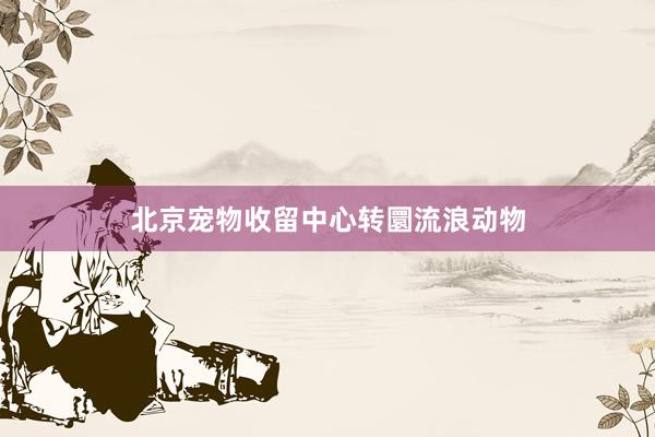 北京宠物收留中心转圜流浪动物