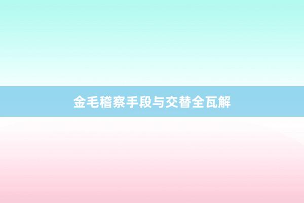 金毛稽察手段与交替全瓦解